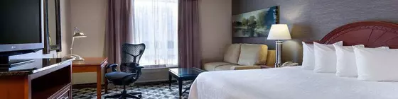 Hilton Garden Inn Chicago North Shore/Evanston | İllinois - Evanston