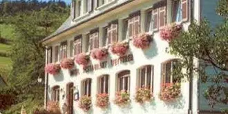 Logis Hotel Wetterer