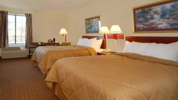 Comfort Inn North Vernon | Indiana - Columbus (ve civarı) - North Vernon