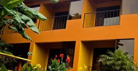 Hotel Cipreses | Puntarenas (ili) - Monteverde