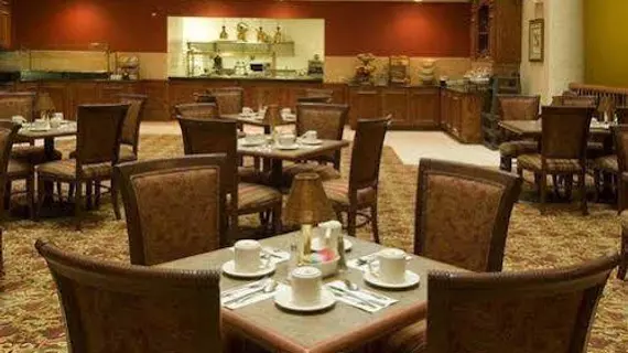 Hilton Garden Inn San Antonio Airport | Teksas - San Antonio (ve civarı) - San Antonio - Kuzey San Antonio - SAT Havalimanı