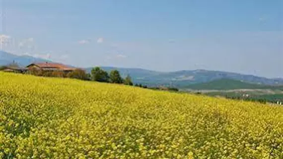 Azienda Agricola Barbi | Toskana - Siena (vilayet) - Pienza