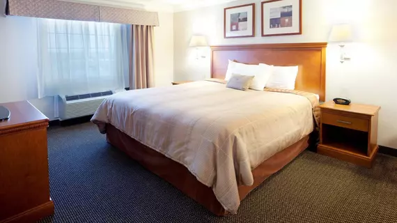 Candlewood Suites San Antonio Downtown | Teksas - San Antonio (ve civarı) - San Antonio - San Antonio Merkezi