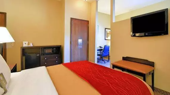 Comfort Inn & Suites Scottsboro | Alabama - Scottsboro (ve civarı) - Scottsboro