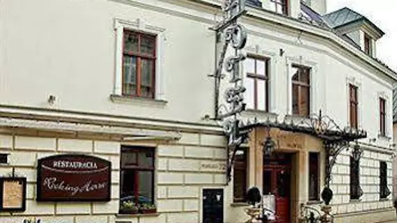 Hotel Wawel | Küçük Polonya Voyvodalığı - Krakow (ve civarı) - Krakow - Stare Miasto