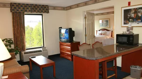 Hampton Inn & Suites Atlanta-Galleria | Georgia - Atlanta (ve civarı) - Atlanta - Cumberland