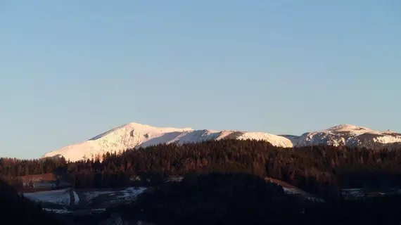 Villa Wellspacher | Lower Austria (Aşağı Avusturya) - Semmering