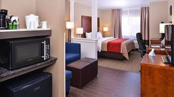 Comfort Inn Alamosa | Kolorado - Alamosa (ve civarı) - Alamosa