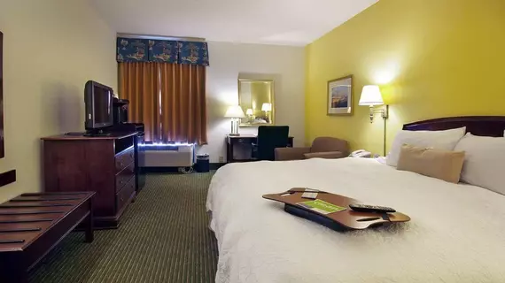 Hampton Inn Georgetown-Marina | Güney Karolayna - Myrtle Plajı (ve civarı) - Georgetown