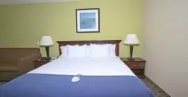 Holiday Inn Express Hotel & Suites Roseville | Michigan - Detroit (ve civarı) - Roseville