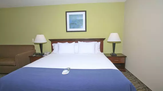 Holiday Inn Express Hotel & Suites Roseville | Michigan - Detroit (ve civarı) - Roseville