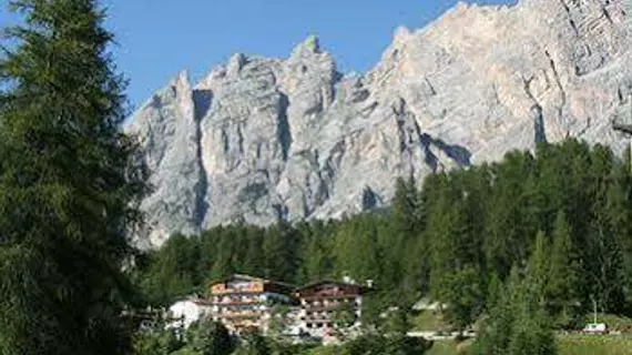 Hotel Des Alpes | Veneto - Belluno (vilayet) - Cortina d'Ampezzo