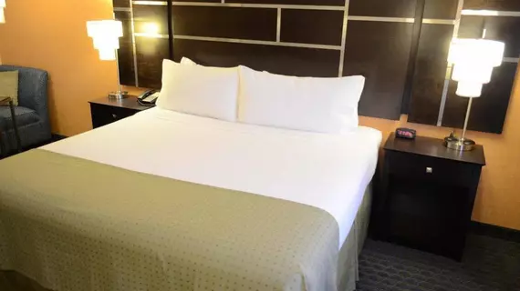 Holiday Inn Channelview | Teksas - Houston (ve civarı) - Channelview