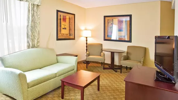 Holiday Inn Express Hotel & Suites Tampa -USF-Busch Gardens | Florida - Tampa (ve civarı) - Tampa