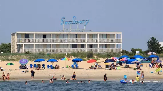 Seabonay Motel | Maryland - Ocean City (ve civarı) - Ocean City