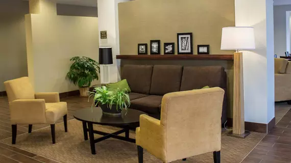 Sleep Inn & Suites Moundsville | Batı Virginia - Wheeling (ve civarı) - Moundsville