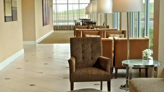 Hilton Garden Inn St. Louis Airport | Missouri - St. Louis (ve civarı) - Berkeley