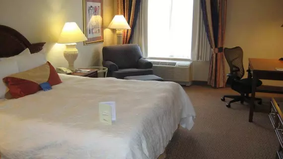 Hilton Garden Inn Auburn Riverwatch | Maine - Lewiston (ve civarı) - Auburn