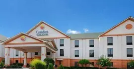 Comfort Inn & Suites Airport South | Georgia - Atlanta (ve civarı) - College Park