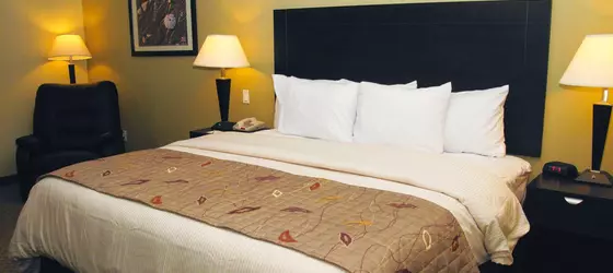 La Quinta Inn & Suites Austin - Cedar Park | Teksas - Austin (ve civarı) - Cedar Park