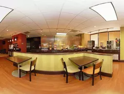 Best Western Plus Roper Mountain Road Inn and Suites | Güney Karolayna - Greenville - Spartanburg (ve civarı) - Greenville