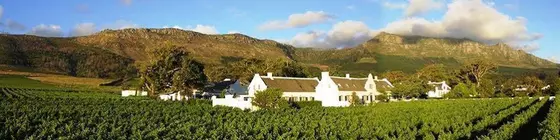 Steenberg Hotel | Western Cape (il) - West Coast DC - Drakenstein - Cape Town (ve civarı) - Cape Town - Lakeside