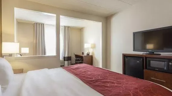 Comfort Suites Richmond | Kentucky - Lexington (ve civarı) - Richmond