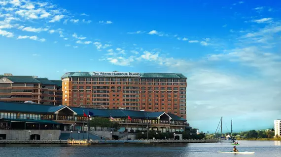 The Westin Tampa Harbour Island | Florida - Tampa (ve civarı) - Tampa