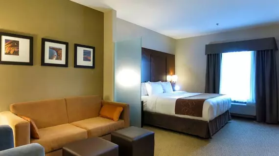 Comfort Suites Saskatoon | Saskatchewan - Saskatoon - Kuzey Sanayi Bölgesi