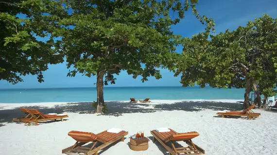 Grand Pineapple Beach Negril - All Inclusive | Westmoreland - Negril (ve civarı) - Negril