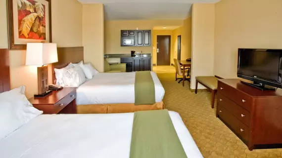 Holiday Inn Express Hotel & Suites Tampa -USF-Busch Gardens | Florida - Tampa (ve civarı) - Tampa