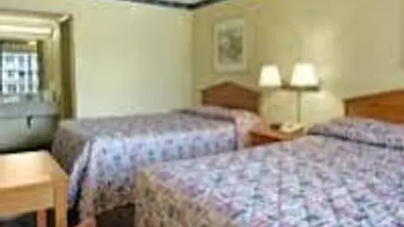 Days Inn Tampa North of Busch Gardens | Florida - Tampa (ve civarı) - Tampa