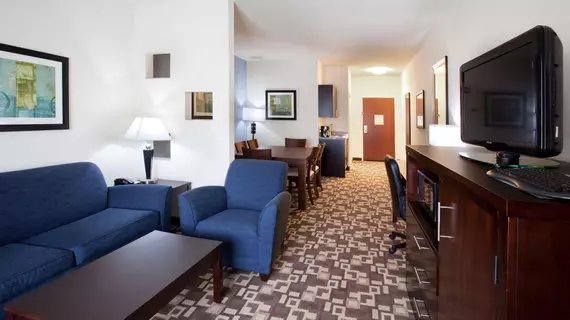 Holiday Inn Express Hotel & Suites Atlanta Airport West - Camp Creek | Georgia - Atlanta (ve civarı) - Atlanta