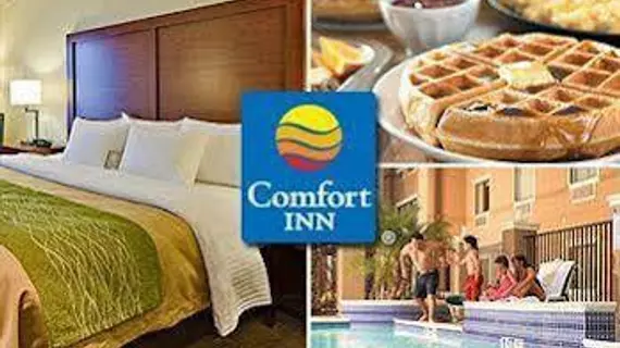 Comfort Inn | New York - New York (ve civarı) - Queens - Jamaika