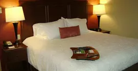 Hampton Inn & Suites - Saint Louis South Interstate 55 | Missouri - St. Louis (ve civarı) - St. Louis