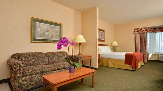 Holiday Inn Express Hotel & Suites Elk Grove Ctrl - Sacramento S | Kaliforniya - Sacramento (ve civarı) - Elk Grove