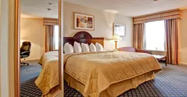 Comfort Inn and Suites Ingersoll | Ontario - London (ve civarı) - Ingersoll