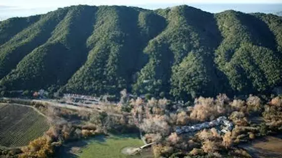 Sycamore Mineral Springs | Kaliforniya - San Luis Obispo (ve civarı) - San Luis Obispo