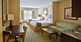 Holiday Inn Express Hotel & Suites Tampa -USF-Busch Gardens | Florida - Tampa (ve civarı) - Tampa