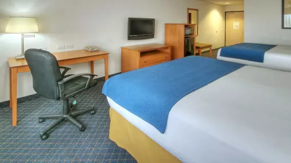 Holiday Inn Express Hotel & Suites Carlsbad | New Mexico - Carlsbad (ve civarı) - Carlsbad