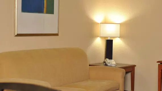 Atrium Hotel and Suites DFW Airport | Teksas - Dallas (ve civarı) - Irving