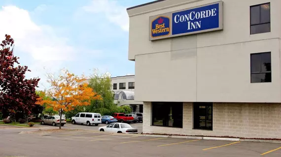 Comfort Inn Waterford | Michigan - Detroit (ve civarı) - Waterford