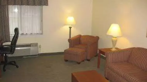 Baymont Inn & Suites Detroit Airport Romulus | Michigan - Detroit (ve civarı) - Romulus