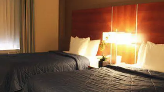 Comfort Inn Flushing | New York - New York (ve civarı) - Queens - Flushing