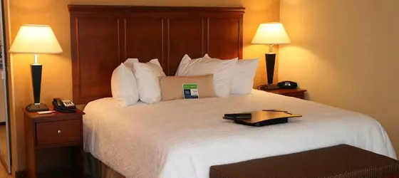 Hampton Inn & Suites Detroit/Chesterfield | Michigan - Detroit (ve civarı) - Chesterfield