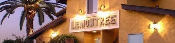 The Lemon Tree Hotel | Kaliforniya - Orange County - Anaheim