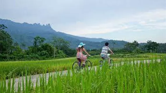 Litchi Garden Rainforest Hot Spring Resort | Haynan - Baoting