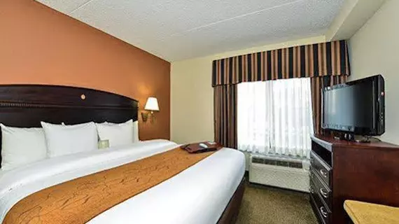 Comfort Inn & Suites Somerset | New Jersey - Franklin Township - Somerset (ve civarı) - Somerset