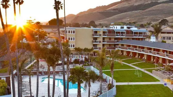 SeaCrest Oceanfront Hotel | Kaliforniya - San Luis Obispo (ve civarı) - Pismo Beach