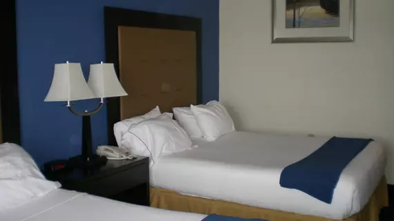 HOLIDAY INN EXPRESS & SUITES N | Michigan - Benton Harbor (ve civarı) - New Buffalo